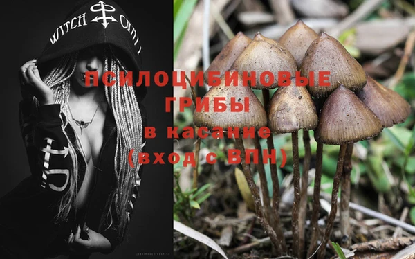 ПСИЛОЦИБИНОВЫЕ ГРИБЫ Аркадак