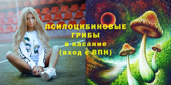 ECSTASY Армянск