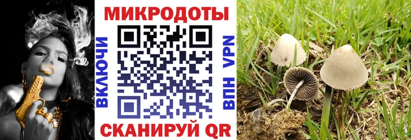 мориарти телеграм  магазин продажи   Болохово  Галлюциногенные грибы Cubensis 